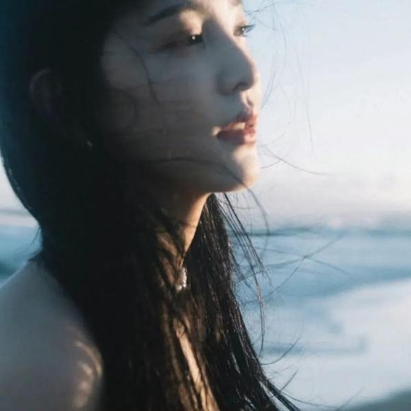 羊与钢的森林